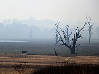 Pic-08 - Strathbogie Ranges - Lake Nillahcootie